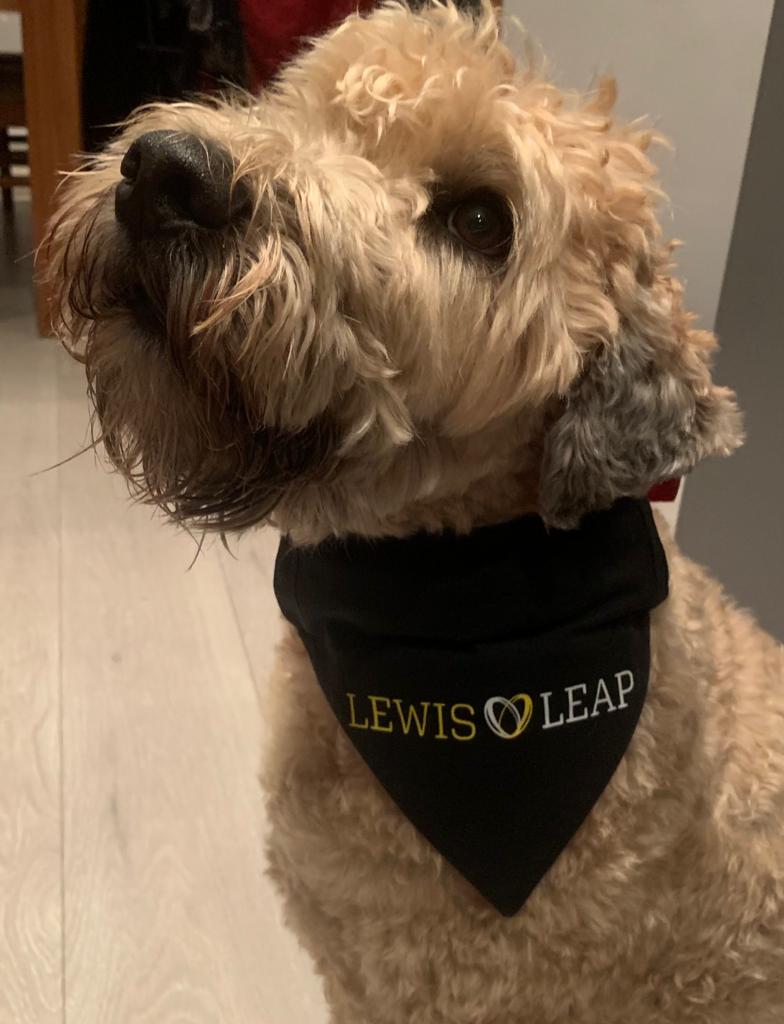 Lewis Leap Dog Bandana