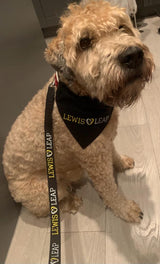 Lewis Leap Dog Lead